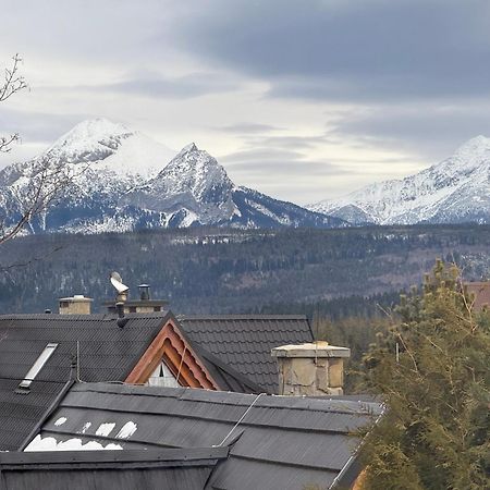 Eco Willa Karpatia Ski&Wellness Murzasichle Exterior foto