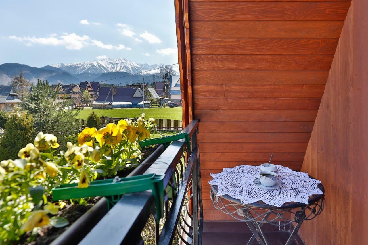 Eco Willa Karpatia Ski&Wellness Murzasichle Exterior foto